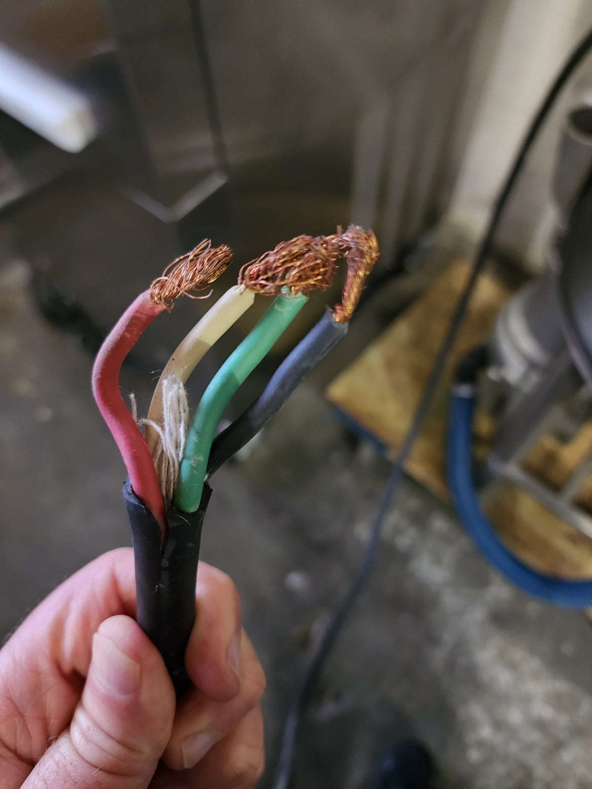 Hobart 6460 60 Pound Potato Peeler with rubbish/trash grinder, Great Condition