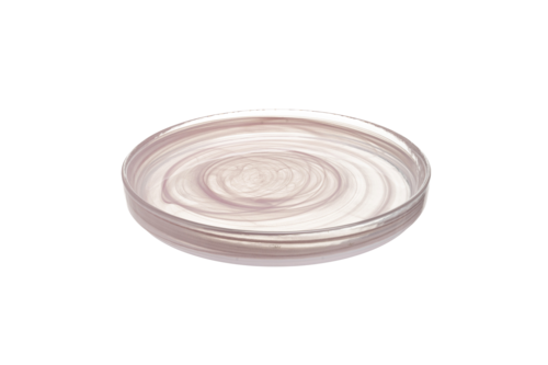 Mikasa Hospitality (Lifetime Brands, Inc.) 2445-3 Plate, Glass