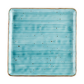 CAC TUS-SQ21-TQS Plate, China