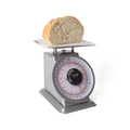 Taylor Precision THD32D Scale, Portion, Dial