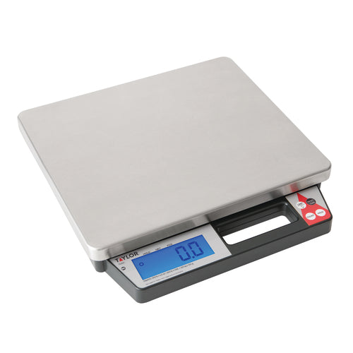 Taylor Precision TE250 Scale, Receiving, Digital