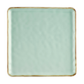 CAC PMS-SQ21-G Plate, China