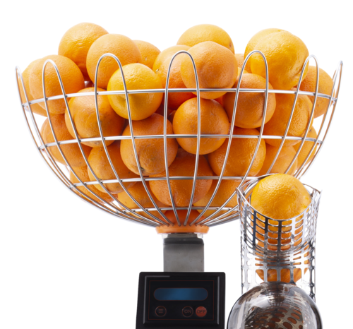 Citrus America 300.248.000 Juicer, Parts & Accessories