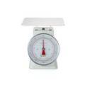 CAC SCM1-100N Scale, Portion, Dial