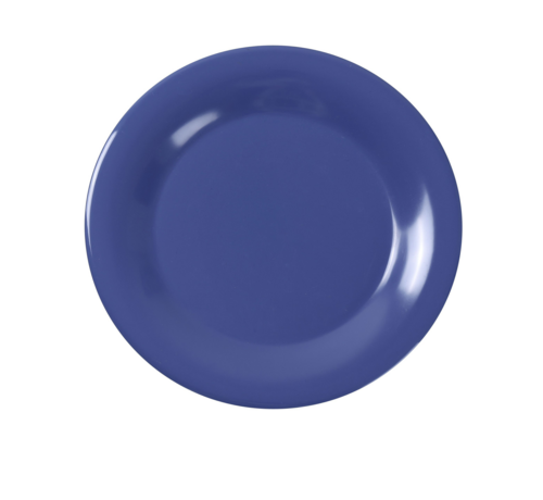 Yanco MS-010BU Plate, Plastic