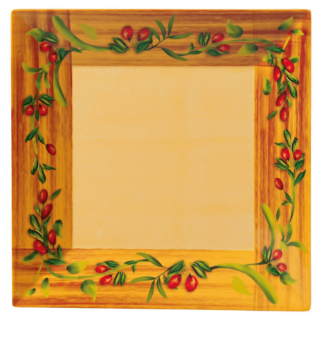 Yanco OL-108 Plate, Plastic