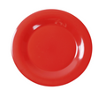 Yanco MS-009RD Plate, Plastic