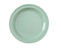 Yanco NS-106G Plate, Plastic
