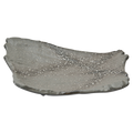 Korin Inc PLL-257 Plate, China