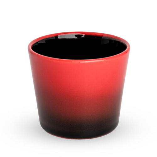 Korin Inc SAC-122 Sake Cups / Bottles / Pots