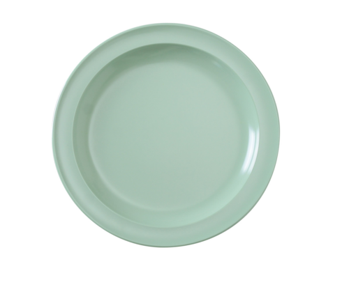 Yanco NS-107G Plate, Plastic
