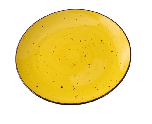 Yanco LY-1110YL Plate, China