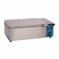 Antunes DFWF-250 Steamer, Countertop