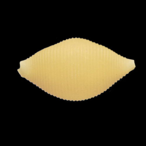 Arcobaleno AEX130 & AEX130M#172 Pasta Die
