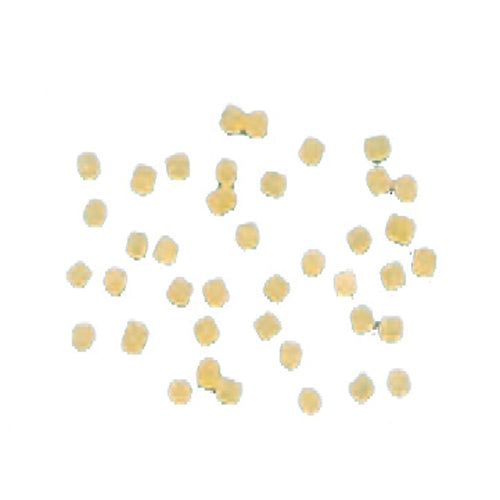 Arcobaleno AEX90 & AEX90M#278 Pasta Die