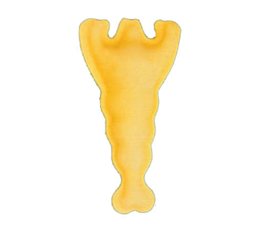 Arcobaleno MOLD-AMF-RS-52A Pasta Mold / Stamp