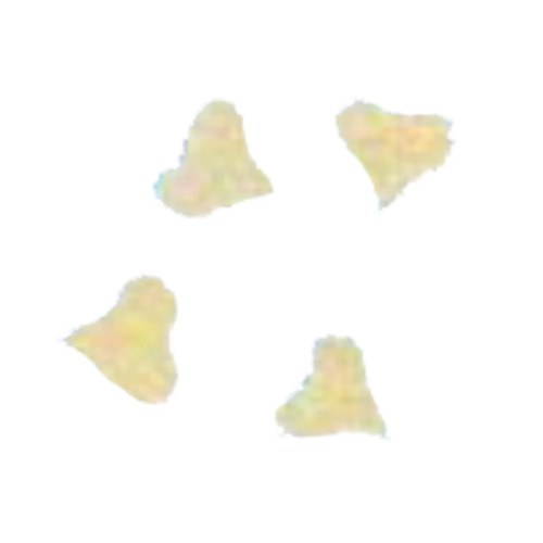 Arcobaleno AEX130 & AEX130M#292 Pasta Die