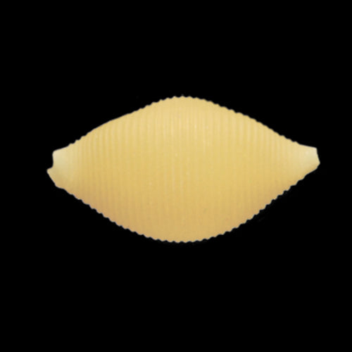 Arcobaleno AEX30STELLA#171 Pasta Die