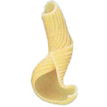 Arcobaleno AEX50#254 Pasta Die