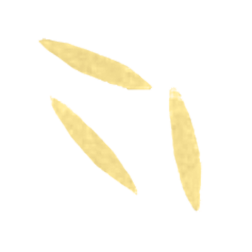 Arcobaleno AEX130 & AEX130M#307 Pasta Die