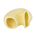 Arcobaleno AEX18 & AEX20#438 Pasta Die