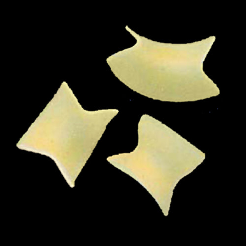 Arcobaleno AEX130 & AEX130M#266 Pasta Die