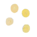 Arcobaleno AMFE50#281 Pasta Die
