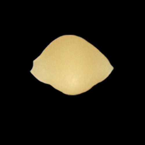 Arcobaleno AEX130 & AEX130M#160 Pasta Die