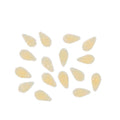 Arcobaleno AEX90 & AEX90M#320 Pasta Die