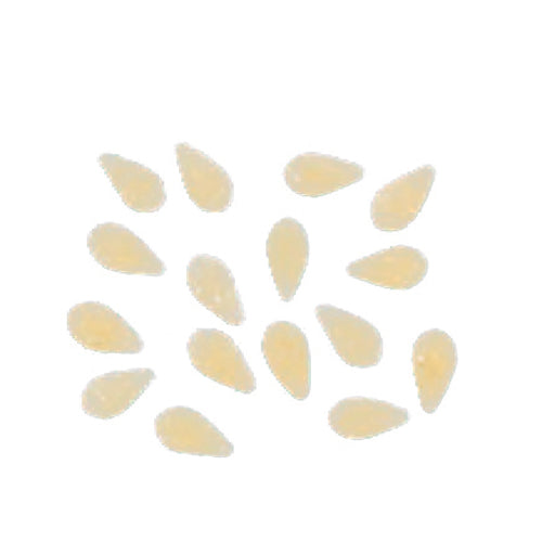 Arcobaleno AEX50#320 Pasta Die