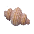 Arcobaleno AEX130 & AEX130M#388 Pasta Die