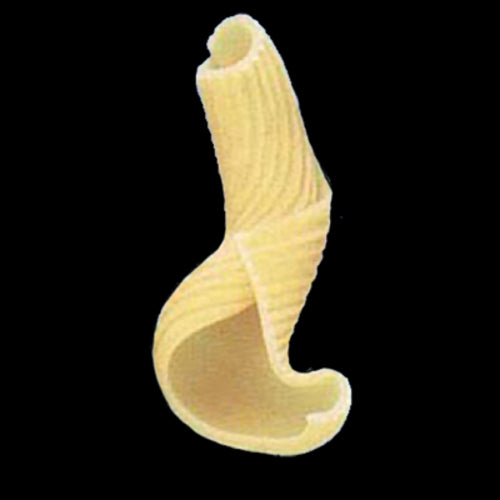 Arcobaleno AEX130 & AEX130M#254 Pasta Die