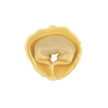 Arcobaleno MOLD-AMFR-04 Pasta Mold / Stamp