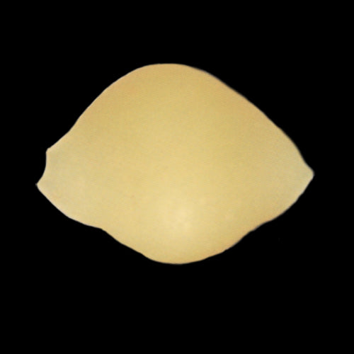 Arcobaleno AEX18 & AEX20#162 Pasta Die