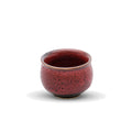 Korin Inc SAC-SH000404 Sake Cups / Bottles / Pots