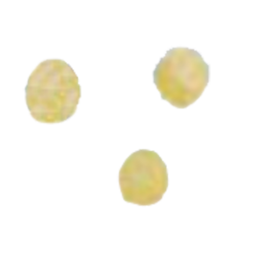 Arcobaleno AEX130 & AEX130M#282 Pasta Die