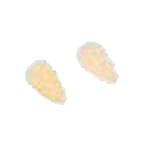 Arcobaleno AMFE50#318 Pasta Die