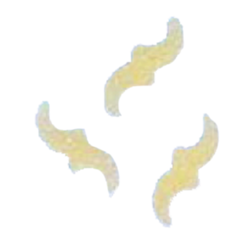 Arcobaleno AMFE50#290 Pasta Die