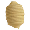 Arcobaleno AEX18 & AEX20#185 Pasta Die