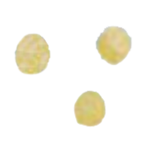 Arcobaleno AMFE50#282 Pasta Die