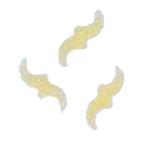 Arcobaleno AEX130 & AEX130M#290 Pasta Die