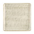 CAC TUS-SQ21-BGE Plate, China