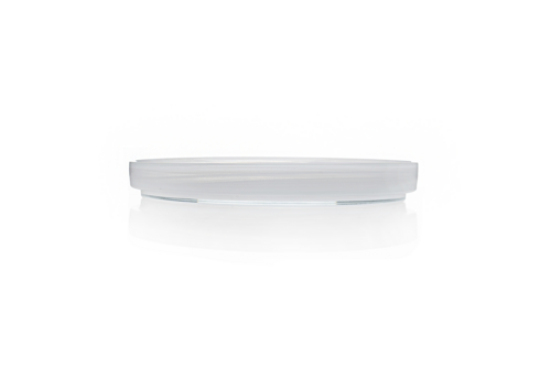 Mikasa Hospitality (Lifetime Brands, Inc.) 2444-2 Plate, Glass