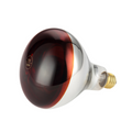CAC ELHL-1RD Heat Lamp Bulb