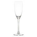 Mikasa Hospitality (Lifetime Brands, Inc.) O-1002268 Glass, Champagne / Sparkling Wine