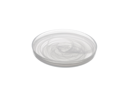 Mikasa Hospitality (Lifetime Brands, Inc.) 1405-2 Plate, Glass