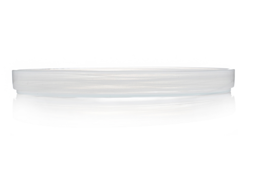 Mikasa Hospitality (Lifetime Brands, Inc.) 2446-2 Plate, Glass