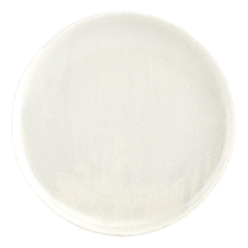 Mikasa Hospitality (Lifetime Brands, Inc.) 5323256 Plate, China