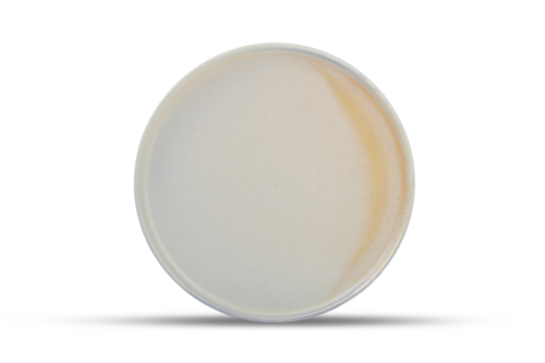 Mikasa Hospitality (Lifetime Brands, Inc.) 5315560 Plate, China
