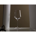 Mikasa Hospitality (Lifetime Brands, Inc.) 5275298 Glass, Wine